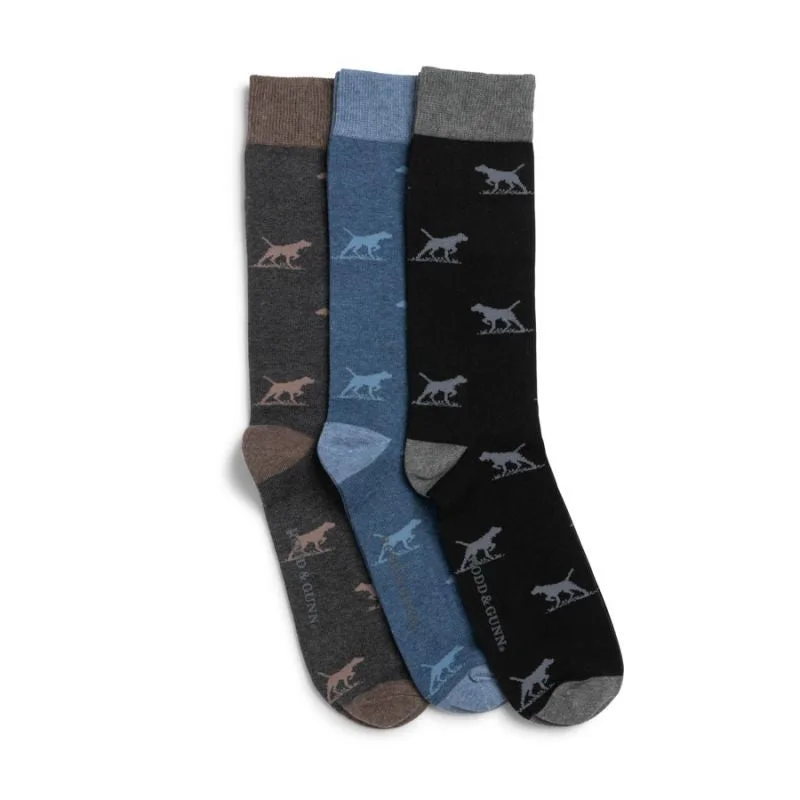 Fun food-themed socks-Rodd & Gunn Dogs-A-Plenty 3 Pack Mens Socks - Biz Multi